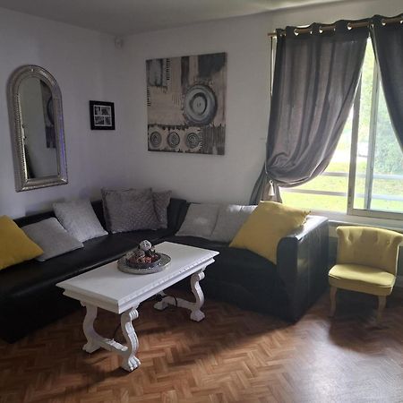 Proche De La Cite De L'Espace Τουλούζη Εξωτερικό φωτογραφία